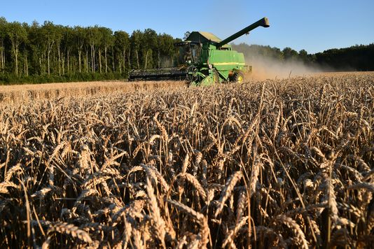 Le Parlement français s'accorde pour limiter l'accaparement des terres agricoles