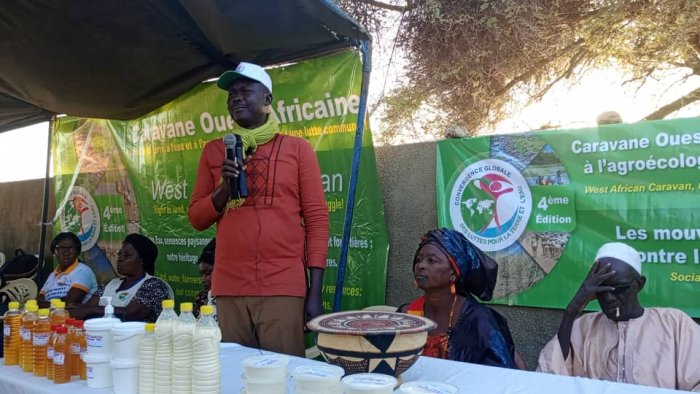 Transformation du lait : visite de la caravane ouest-africaine à une femme modèle à Kojolel 