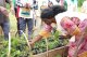 Seredou, en Guinée forestière : l'agroécologie comme alternative pour les femmes de l'UFSI.